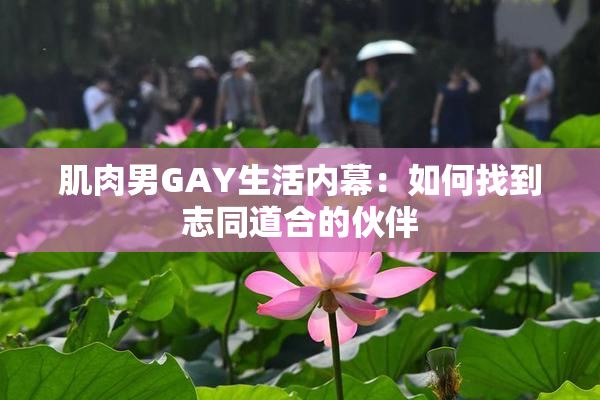 肌肉男GAY生活内幕：如何找到志同道合的伙伴