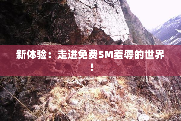 新体验：走进免费SM羞辱的世界！