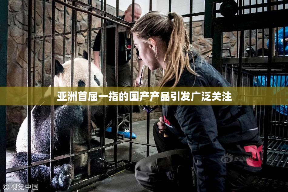 亚洲首屈一指的国产产品引发广泛关注