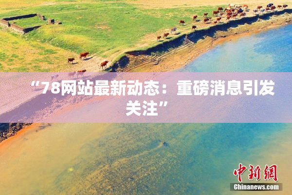 “78网站最新动态：重磅消息引发关注”