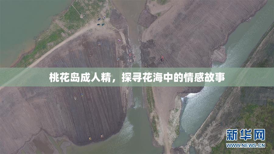 桃花岛成人精，探寻花海中的情感故事