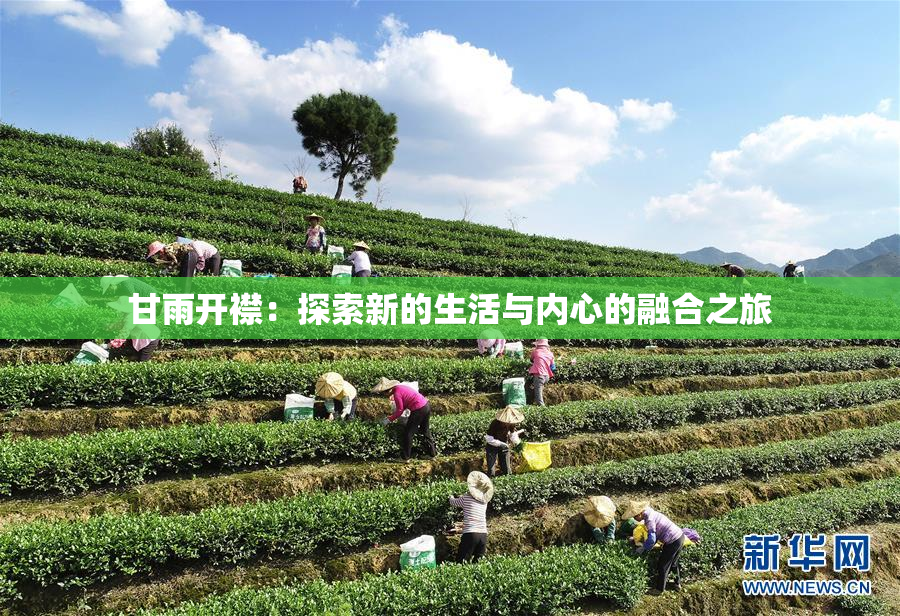 甘雨开襟：探索新的生活与内心的融合之旅