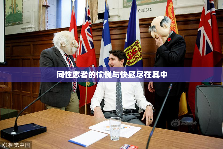 同性恋者的愉悦与快感尽在其中