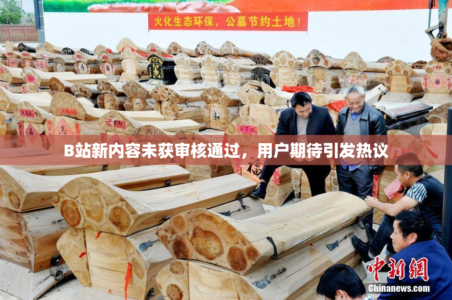 B站新内容未获审核通过，用户期待引发热议