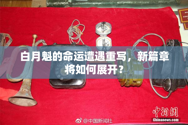 白月魁的命运遭遇重写，新篇章将如何展开？