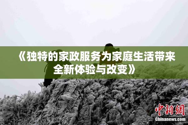 《独特的家政服务为家庭生活带来全新体验与改变》