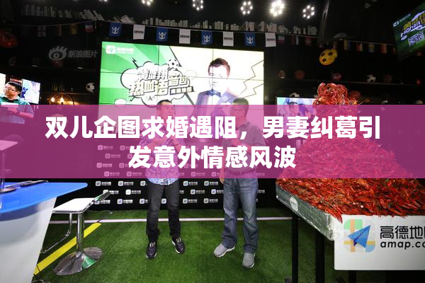 双儿企图求婚遇阻，男妻纠葛引发意外情感风波
