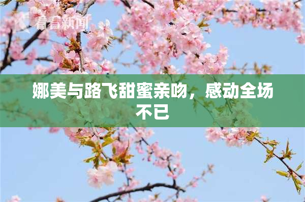 娜美与路飞甜蜜亲吻，感动全场不已