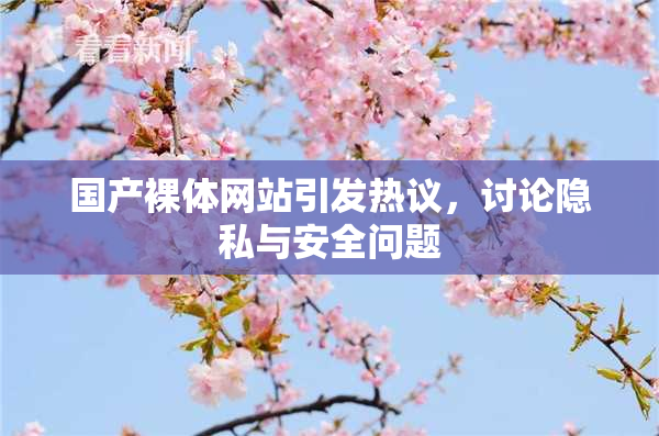 国产裸体网站引发热议，讨论隐私与安全问题