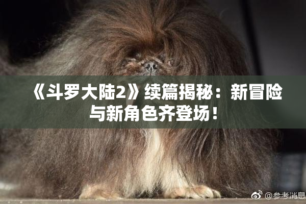 《斗罗大陆2》续篇揭秘：新冒险与新角色齐登场！