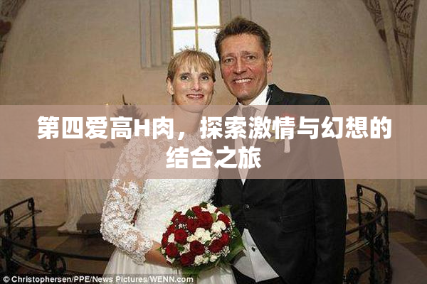 第四爱高H肉，探索激情与幻想的结合之旅