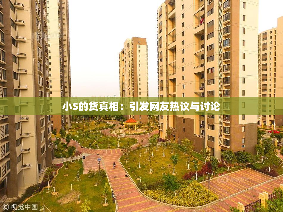 小S的货真相：引发网友热议与讨论