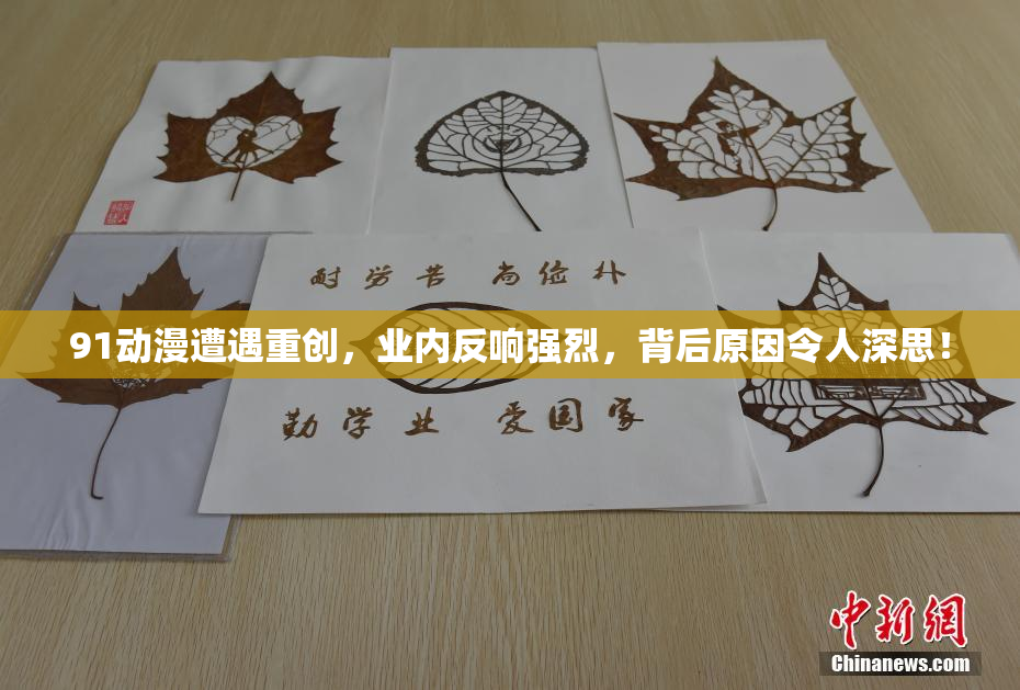91动漫遭遇重创，业内反响强烈，背后原因令人深思！