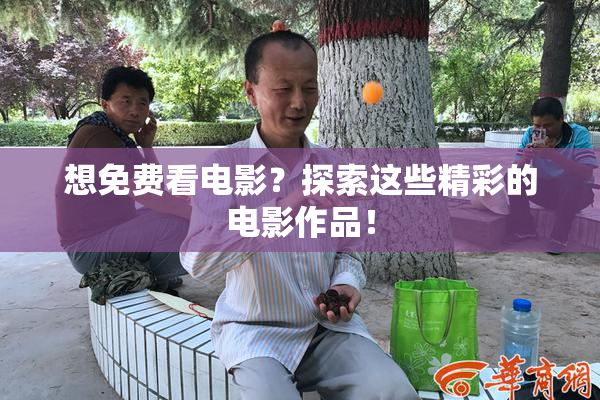 想免费看电影？探索这些精彩的电影作品！