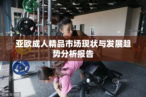 亚欧成人精品市场现状与发展趋势分析报告