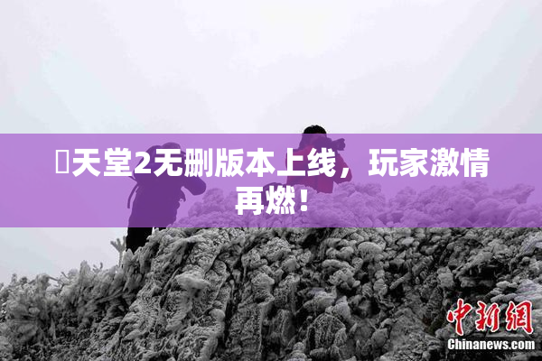 妺天堂2无删版本上线，玩家激情再燃！