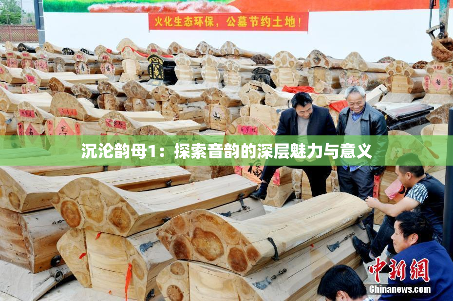沉沦韵母1：探索音韵的深层魅力与意义