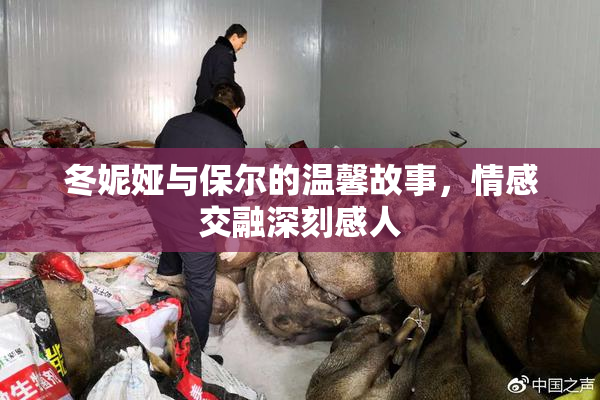 冬妮娅与保尔的温馨故事，情感交融深刻感人