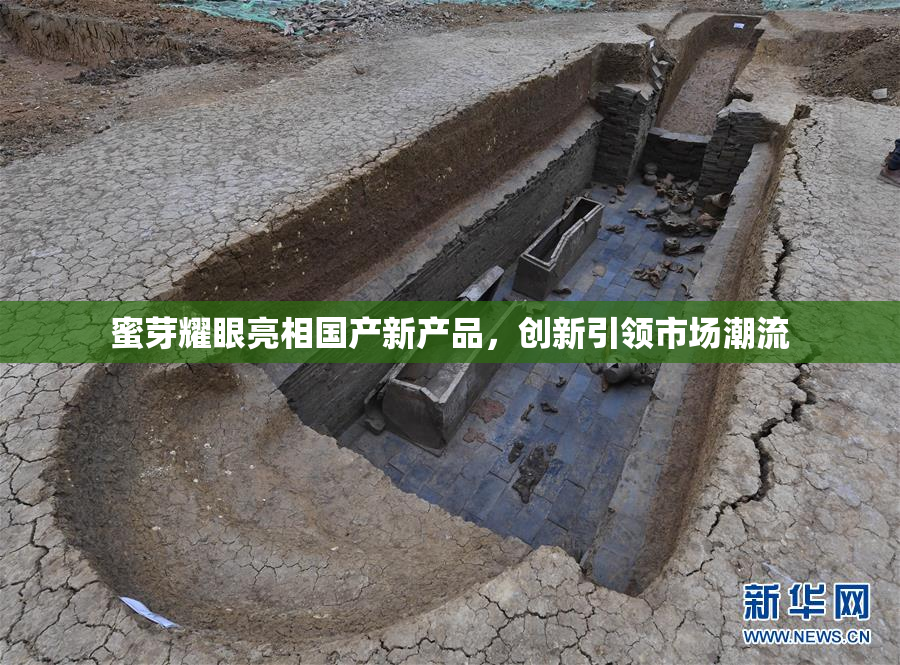 蜜芽耀眼亮相国产新产品，创新引领市场潮流