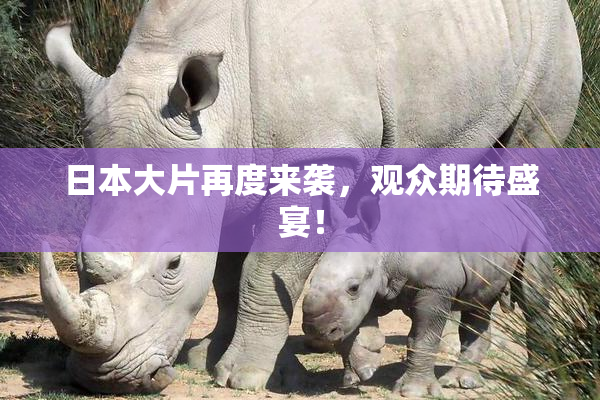 日本大片再度来袭，观众期待盛宴！