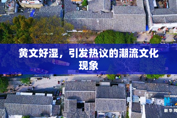 黄文好湿，引发热议的潮流文化现象
