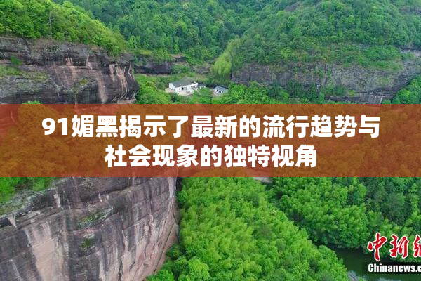 91媚黑揭示了最新的流行趋势与社会现象的独特视角