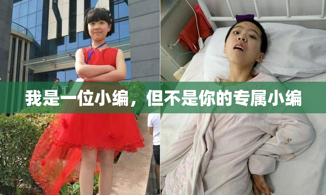 我是一位小编，但不是你的专属小编