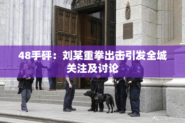48手砰：刘某重拳出击引发全城关注及讨论