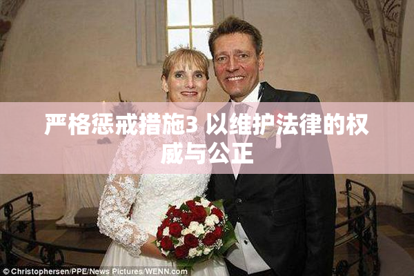严格惩戒措施3 以维护法律的权威与公正
