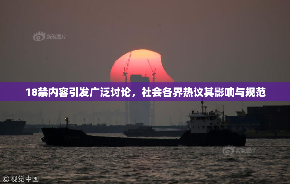 18禁内容引发广泛讨论，社会各界热议其影响与规范