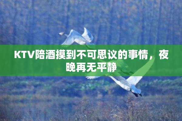 KTV陪酒摸到不可思议的事情，夜晚再无平静