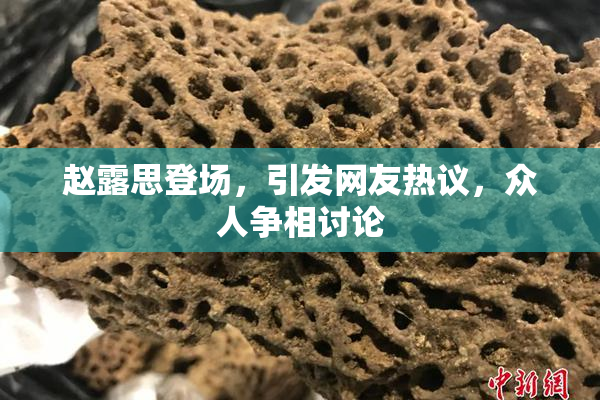 赵露思登场，引发网友热议，众人争相讨论