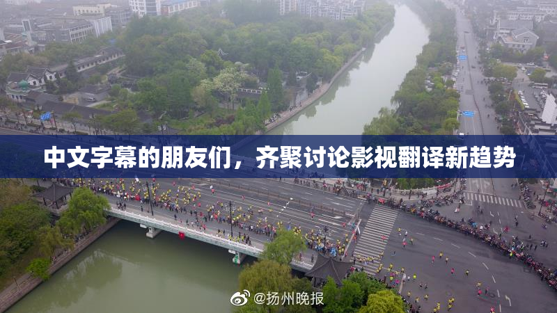 中文字幕的朋友们，齐聚讨论影视翻译新趋势
