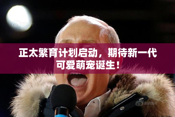 正太繁育计划启动，期待新一代可爱萌宠诞生！