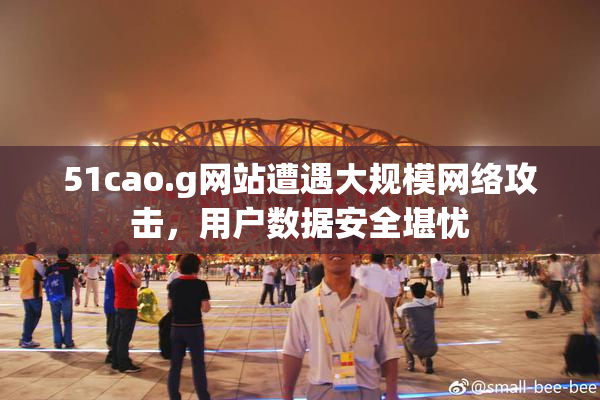51cao.g网站遭遇大规模网络攻击，用户数据安全堪忧