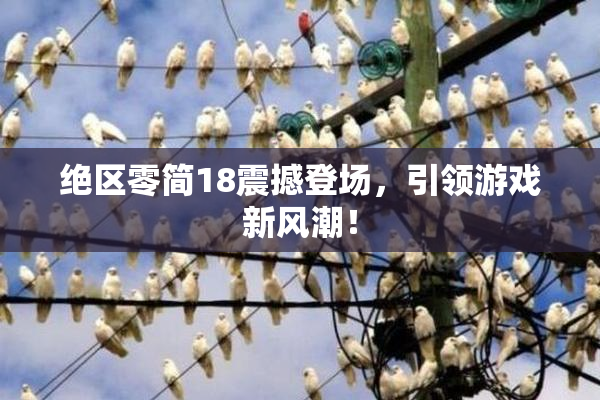绝区零简18震撼登场，引领游戏新风潮！