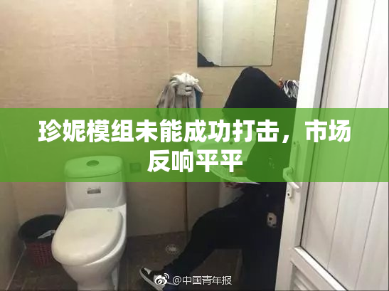 珍妮模组未能成功打击，市场反响平平
