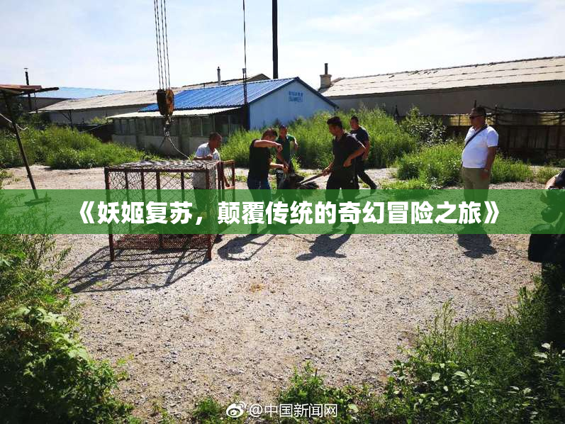 《妖姬复苏，颠覆传统的奇幻冒险之旅》