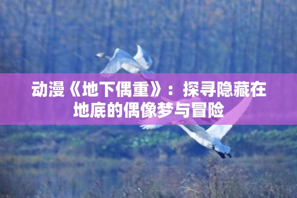 动漫《地下偶重》：探寻隐藏在地底的偶像梦与冒险
