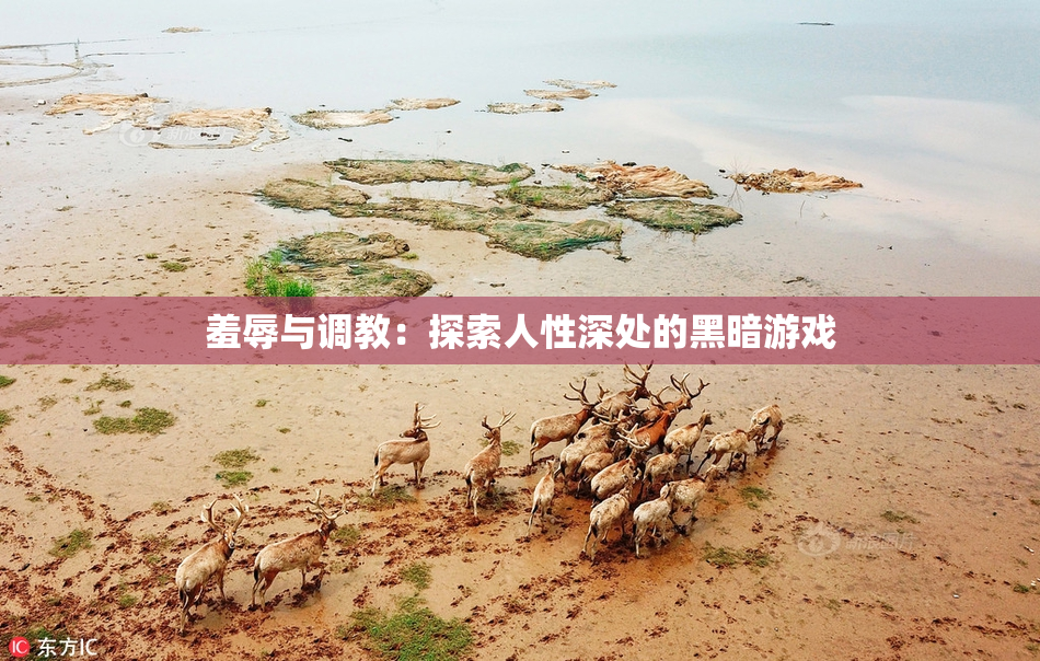 羞辱与调教：探索人性深处的黑暗游戏