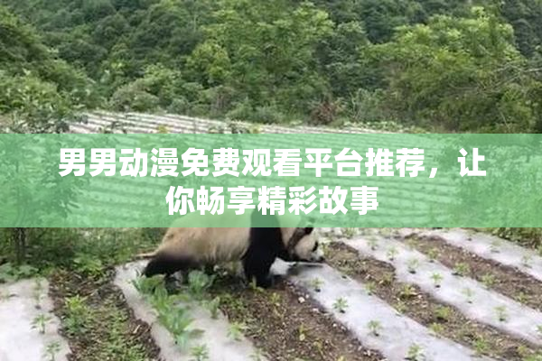 男男动漫免费观看平台推荐，让你畅享精彩故事
