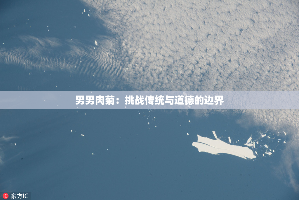 男男肉菊：挑战传统与道德的边界