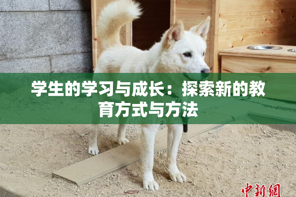 学生的学习与成长：探索新的教育方式与方法