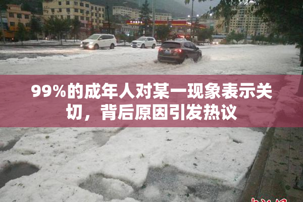 99%的成年人对某一现象表示关切，背后原因引发热议