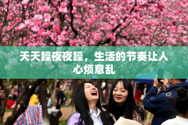 天天躁夜夜躁，生活的节奏让人心烦意乱
