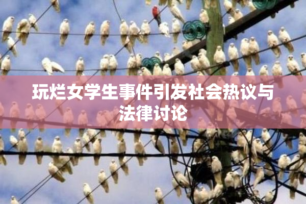 玩烂女学生事件引发社会热议与法律讨论