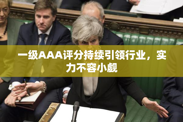 一级AAA评分持续引领行业，实力不容小觑