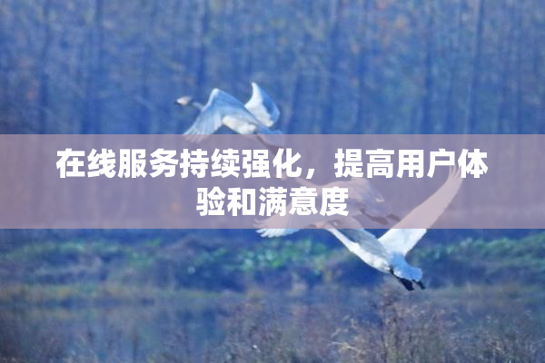 在线服务持续强化，提高用户体验和满意度