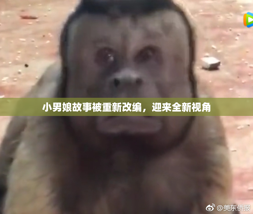 小男娘故事被重新改编，迎来全新视角