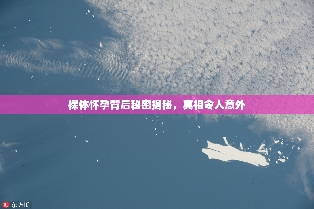 裸体怀孕背后秘密揭秘，真相令人意外